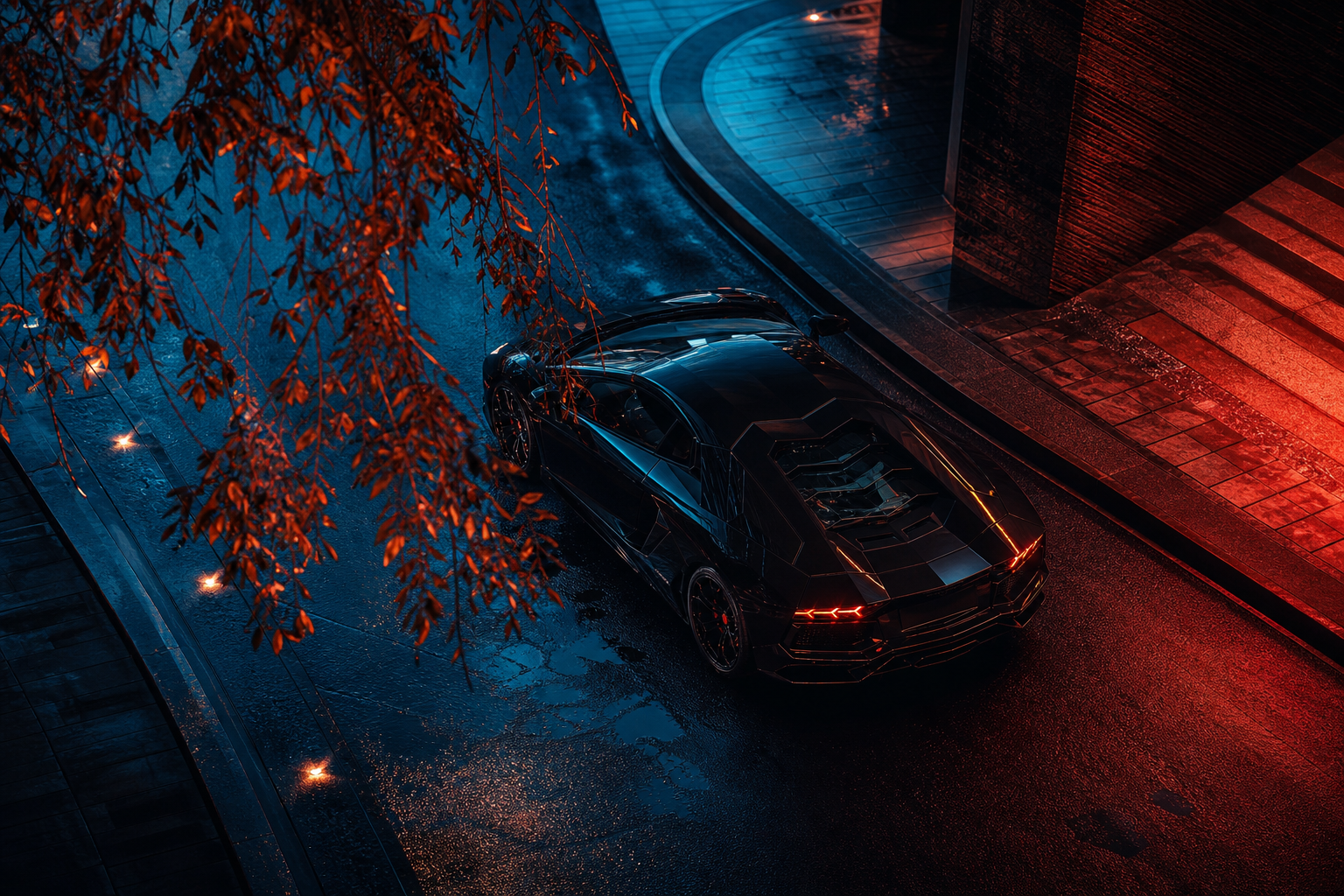 Black Lamborghini On Neon Street At Night Cars Wallpaper  1 4K