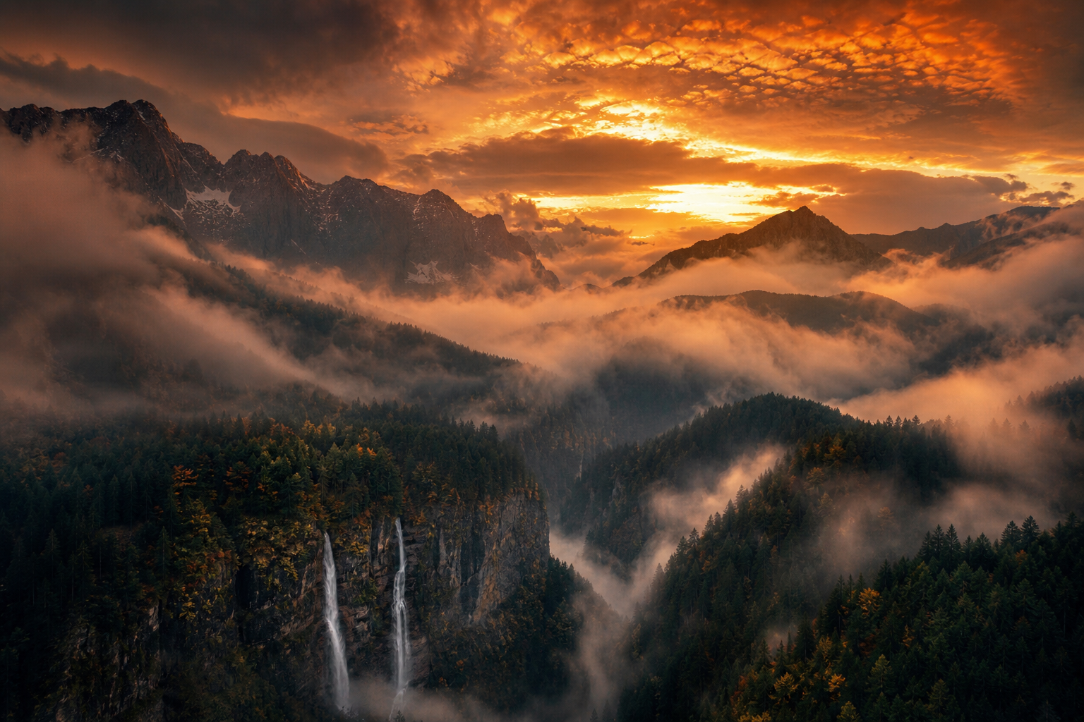 Dark Forest Fog Nature Wallpaper  2 4K