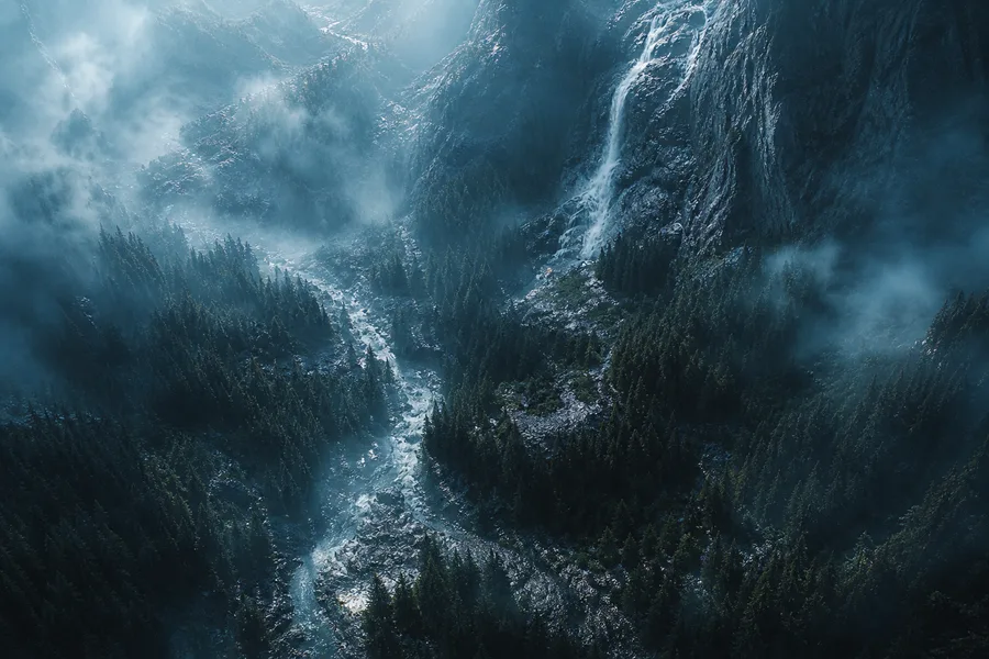 Dark Forest Fog Nature Wallpaper  2 4K
