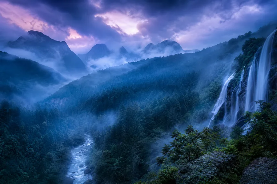 Dark Forest Fog Nature Wallpaper  2 4K